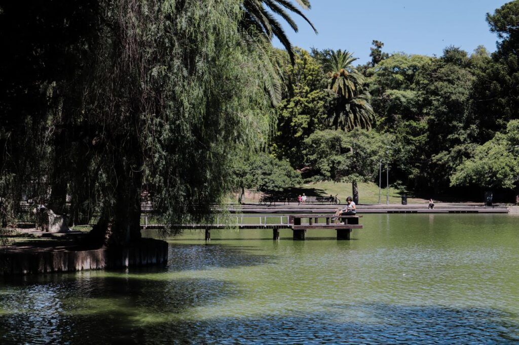 pexels-photo-29890305-29890305 Peaceful scene of a person at a lakeside in Parque de la Independencia, Rosario. Vibrant greenery and calm waters.