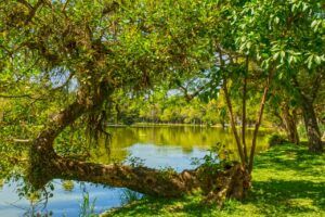 Scenic view of a tranquil lake surrounded by lush greenery in Rio Grande do Sul, Brazil.